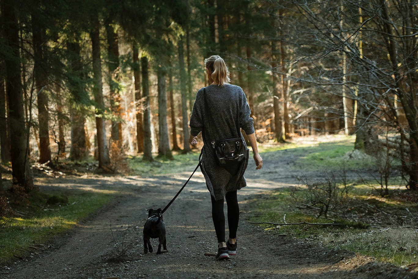 Kvinna går med hund i koppel fäst runt midjan i skogen